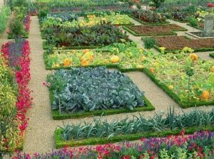 design de grădină și grădină cu mâinile lor imagini, ilustrații și fotografii în timp ce aranja Garden & Horticultură