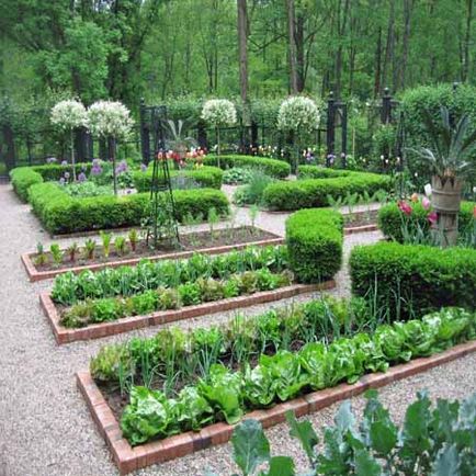 design de grădină și grădină cu mâinile lor imagini, ilustrații și fotografii în timp ce aranja Garden & Horticultură