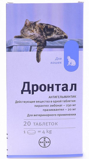 Drontal pentru pisici comentarii, instrucțiuni de utilizare, contraindicații - murkote despre pisici și pisici