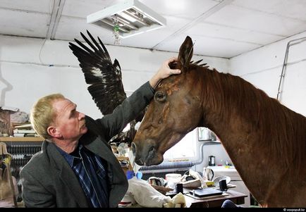 Cum de a face animale impaiate, așa cum se face