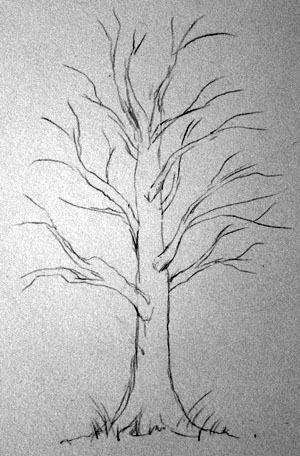 Cum de a desena un copac de arțar