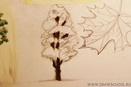 Cum de a desena un arțar și arțar culori frunze