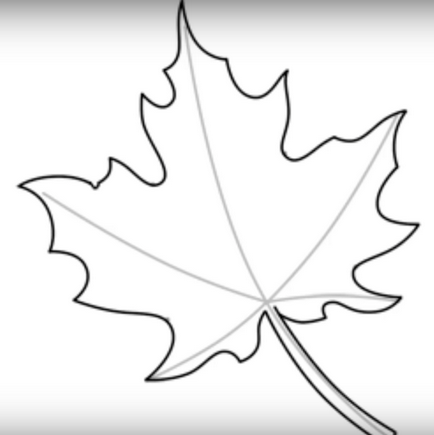 Cum de a desena o frunză de arțar