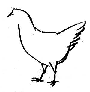 Cum de a desena o găină și un cocoș