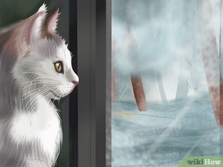 Cum se determina ca pisica ta are depresie