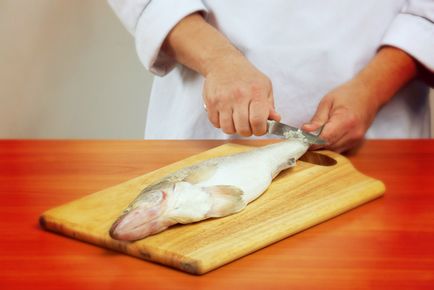 Cum să măcinarea pește ca abatorizarea pește