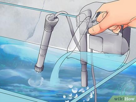 Cum sa faci un acvariu