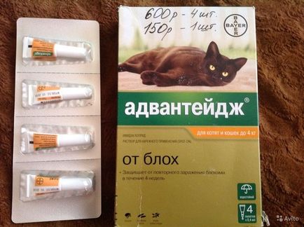 Advanteydzh picături pentru pisici, instruire și contraindicații