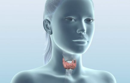 Tratamentul de remedii populare tiroidian