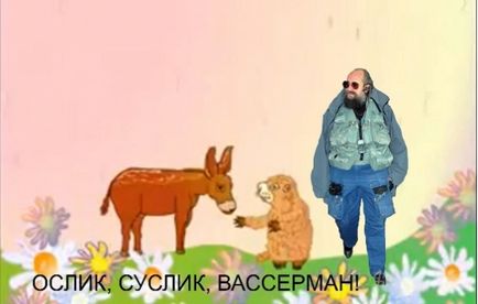 Donkey, Gopher, Paukaa, Netlore Michael Yasnov, popândăi măgar Paukaa ultima șansă, copii, copii