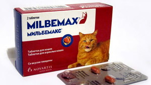 Fosprenil de droguri pentru tratamentul de pisici și câini, instrucțiuni de utilizare