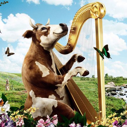Imagini haioase despre vaci (35 poze) - poze haioase si umor (imagini amuzante de vaca) Imagini haioase despre vaci (35 poze) - poze haioase si umor