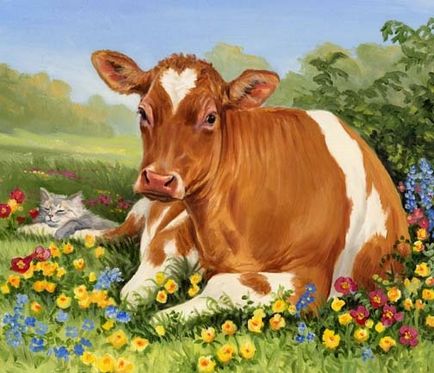 Imagini haioase despre vaci (35 poze) - poze haioase si umor (imagini amuzante de vaca) Imagini haioase despre vaci (35 poze) - poze haioase si umor