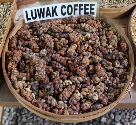 Cafeaua cea mai scumpă din lume - este de cafea de la kakashek blog-ul lui Harry chimist pini