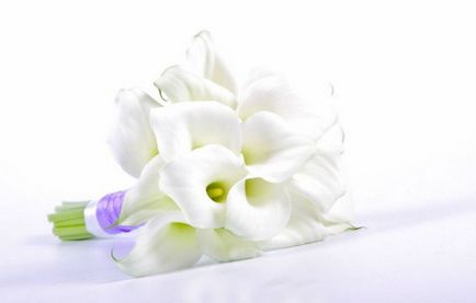Buchet de nunta 2017 fotografie - de trandafiri, orhidee, margarete si Callas