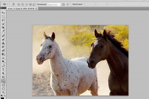 Elementele de bază Lecții Photoshop, exemple, ateliere de lucru (lecții Photoshop) Lecții Photoshop Elemente de bază, exemple, ateliere de lucru