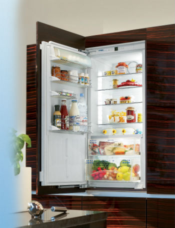 Built-in frigider, care este, toate sfaturile