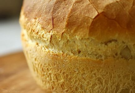 Pâinea în cuptor - pâine rețete cuptor - cum să se pregătească în mod corespunzător