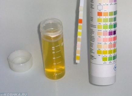 Analiza urină de pisică