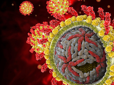 Ce este un anticorp cu virusul