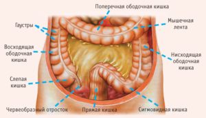 tratamentul bolii intestinului