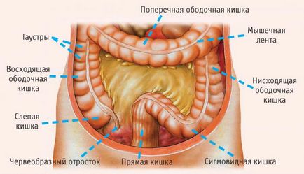 tratamentul bolii intestinului