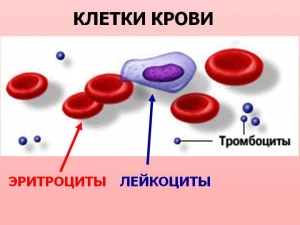 Ce este de făcut înainte de livrarea test de sange de tratament, boli, medicamente, instructiuni