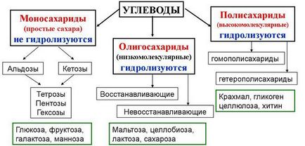 Ce este format din carbohidrati