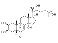 ecdysterone ce