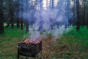 Burn Tratamentul crucea-pământului