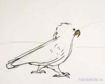 Cum de a desena un creion în etape papagal
