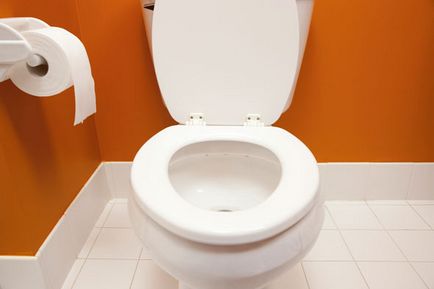 Cum se curata toaleta Cum se curata toaleta