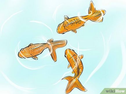 Cum să rasa de pește