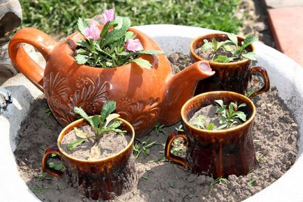 Cum de a face paturi de flori cu propriile lor mâini