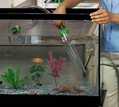 Cum să Sifon Aquarium