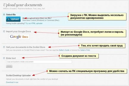 Cum se completează documentul