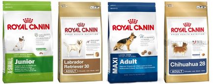 Canin Royal hrănire pentru