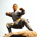 Cum să învețe kung fu acasă