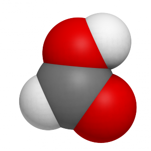 După cum se prepară acid formic