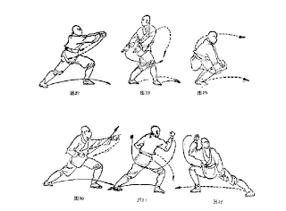 Cum să învețe kung fu acasă