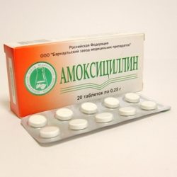 Tratamentul antibiotic Pielonefrita