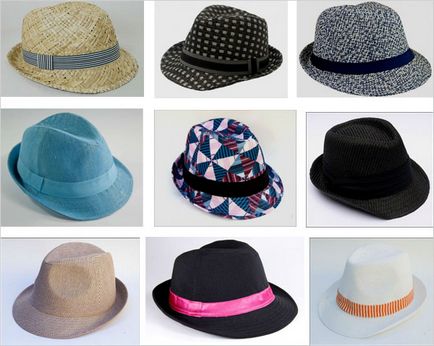 Fedora pălărie - un element de mare imagine elegant (50 poze)