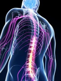 Ce este stenoza spinarii