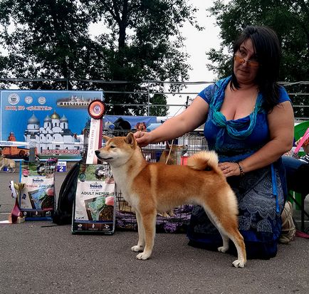 expoziție Vserumynskaya de toate rasele de câini