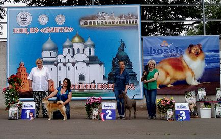 expoziție Vserumynskaya de toate rasele de câini