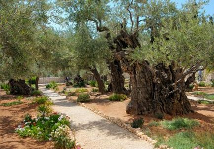 14 locuri de vizitat în Israel