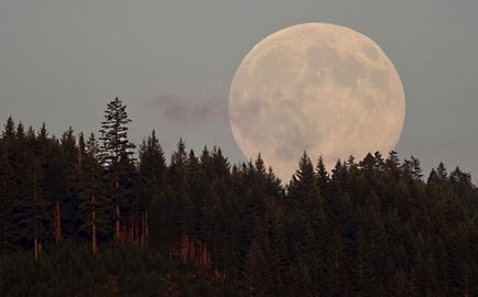 Ca stelele fără luna