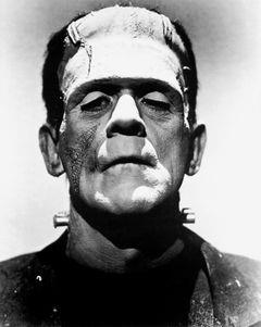 Ce este Frankensteins