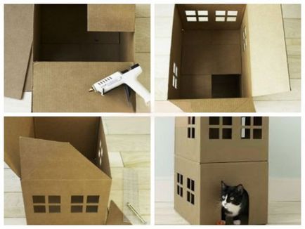 Cum de a construi o casa pentru pisica