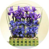 Florarii pentru incepatori pas cu pas asamblarea de flori cu fotografii